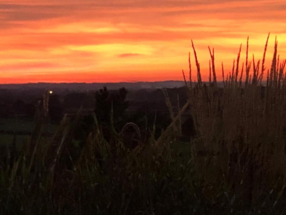Little Park Holiday Homes Self Catering Cottages 1 & 2 Bedrooms Available Close To Tutbury Castle Exteriör bild